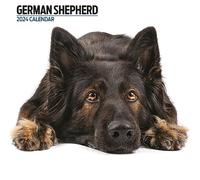 Calendario moderno 2024 con pastore tedesco