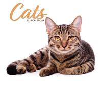 Calendario moderno 2025 Cat