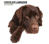 Calendario moderno 2025 Labrador Chocolate