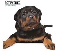Calendario moderno 2025 Rottweiler