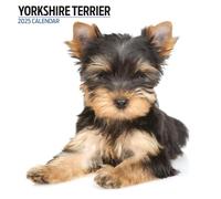 Calendario moderno 2025 Yorkshire Terrier