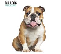 Calendario moderno 2026 Bulldog