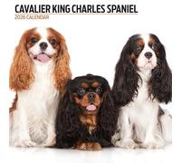 Calendario moderno 2026 Cavalier King Charles Spaniel