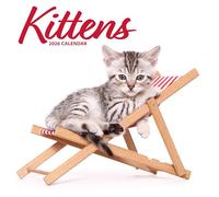 Calendario moderno 2026 con gattini