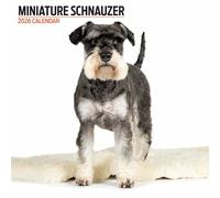 Calendario moderno 2026 Schnauzer in miniatura