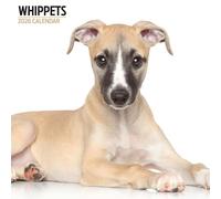 Calendario moderno 2026 Whippets