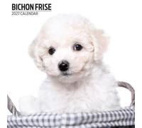 Calendario moderno 2027 Bichon Frise