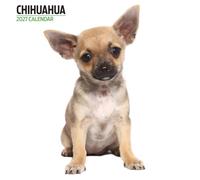 Calendario moderno 2027 Chihuahua