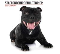 Calendario moderno 2027 dello Staffordshire Bull Terrier