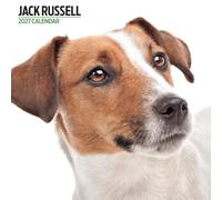 Calendario moderno 2027 di Jack Russell