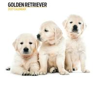 Calendario moderno 2027 Golden Retriever