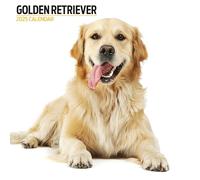 Calendario Moderno Golden Retriever 2025
