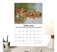 Calendario Murale Animali,Planificatore Con Tema Degli Animali | Calendario Annuale 2026 Mese per Mese,per Aula Sala da Pranzo Camera Soggiorno Studio Studenti Insegnanti