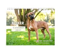 Calendario Per Cani 12 Gennaio - Dicembre 2017-28,5x21 CmAffascinant