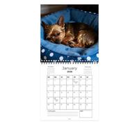 Calendario Per Cani 2026 - Yorkshire Terrier 8,2x8,8 Pollici | Calendario Da Parete Con Copertina A Forma Di E 12 Foto Di Cuccioli | Carta Patinata Spessa Con Rilegatura A Su Entram