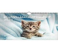 Calendario per gatti in formato DIN A4, per bambini gatti e gatti 2023