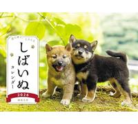 Calendario Shiba Inu 2026 (Desktop)