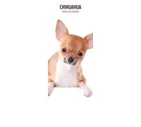 Calendario sottile 2026 Chihuahua