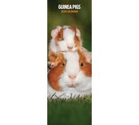 Calendario sottile 2026 con porcellini d'India