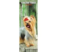 Calendario sottile 2026 Yorkshire Terrier