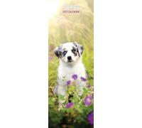 Calendario sottile 2027 cuccioli