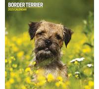 Calendario tradizionale 2025 Border Terrier
