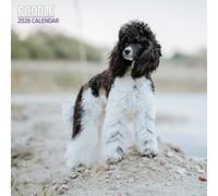 Calendario tradizionale 2026 barboncino