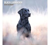 Calendario tradizionale 2026 Labrador nero