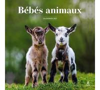 Calendrier 2027 bébés animaux
