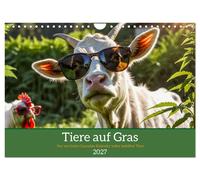 Calendrier 2027 · French Version · Animaux sur herbe - Le calendrier fou du cann