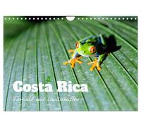 Calendrier 2027 · French Version · Costa Rica - Faune et paysages (Calendrier mu