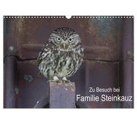 Calendrier 2027 · French Version · En visite chez une famille de chouettes chevê