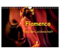 Calendrier 2027 · French Version · Flamenco - la danse de la passion (Calendrier