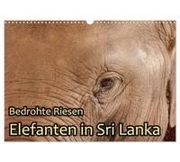 Calendrier 2027 · French Version · Géants menacés - Les éléphants au Sri Lanka (