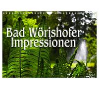 Calendrier 2027 · French Version · Impressions de Bad Wörishofer (Calendrier mur
