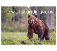 Calendrier 2027 · French Version · La faune de Scandinavie (Calendrier mural 202