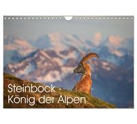 Calendrier 2027 · French Version · Le bouquetin - roi des Alpes (Calendrier mura