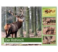 Calendrier 2027 · French Version · Le cerf rouge - le roi de nos forêts (Calendr