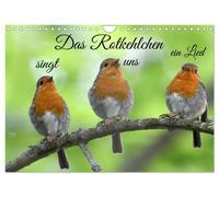 Calendrier 2027 · French Version · Le rouge-gorge nous chante une chanson (Calen