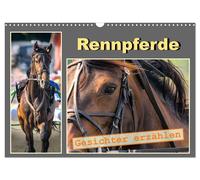 Calendrier 2027 · French Version · Les chevaux de course - des visages qui racon