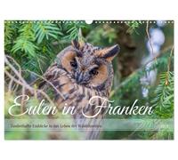 Calendrier 2027 · French Version · Les chouettes en Franconie (Calendrier mural
