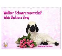 Calendrier 2027 · French Version · Mouton à nez noir du Valais Valais Blacknose