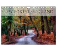 Calendrier 2027 · French Version · New Forest - Angleterre (Calendrier mural 202