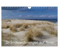 Calendrier 2027 · French Version · Promenades sur la plage de Texel (Calendrier