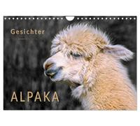 Calendrier 2027 · French Version · Visages d'alpagas (Calendrier mural 2027 DIN