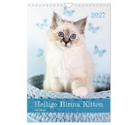 Calendrier avec agenda pour chatons de race Sacré de Birmanie (Calendrier mural
