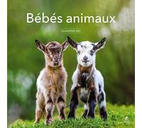 Calendrier Bébés animaux