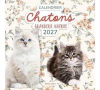 Calendrier Chatons grandeur nature