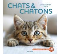 Calendrier Chats et Chatons