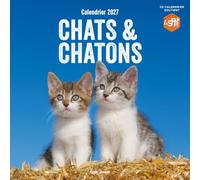 Calendrier mural Chats et Chatons 2027